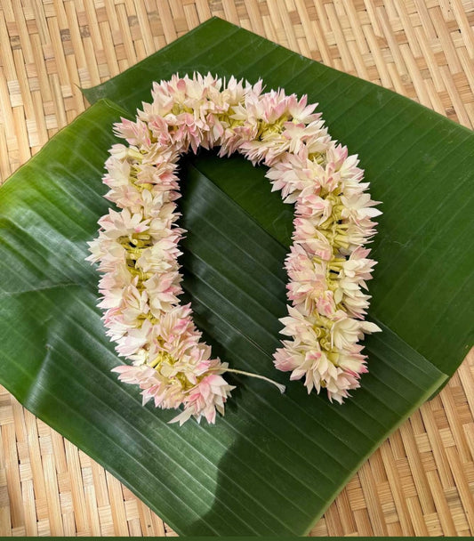 Jathimalli | jasmine